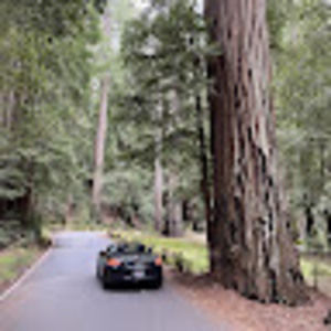 Meet your Posher, Dan